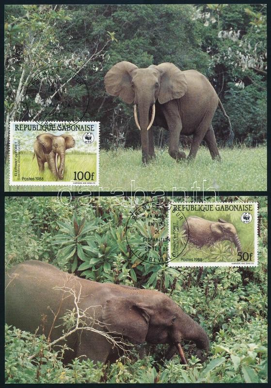 WWF: Erdei elefánt sor 4 db CM-en, WWF Forest elephant set 4 CM