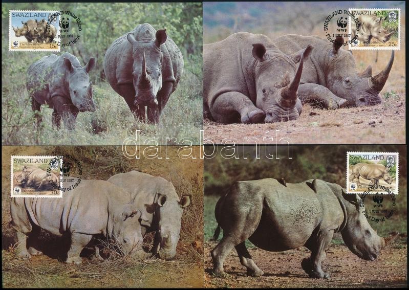 WWF: Orrszarvúk 4 CM, WWF Rhinos 4 CM