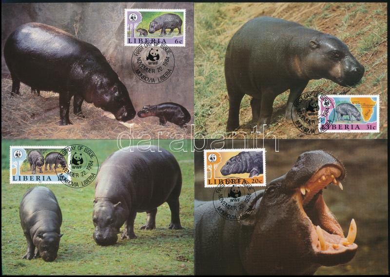 WWF: Törpe víziló sor 4 db CM-en, WWF Dwarf hippo set  4 CM