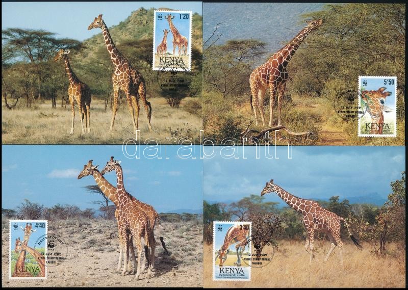 Recés zsiráf sor 4 CM, Reticulated giraffe set 4 CM