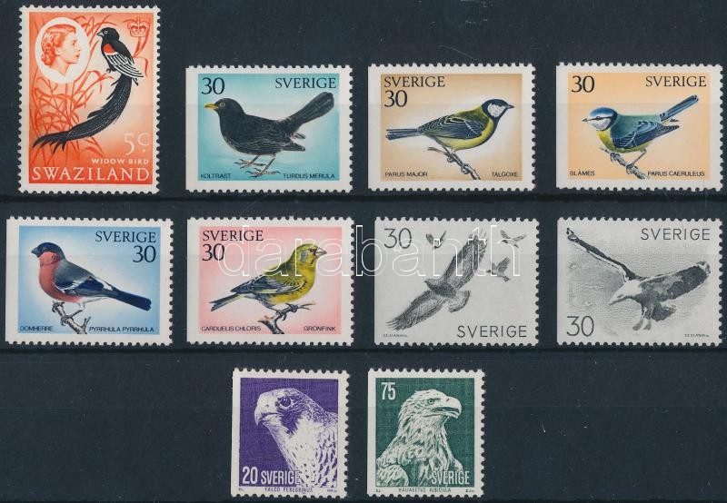 Bird 45 stamps, Madár motívum 45 db bélyeg 2 stecklapon