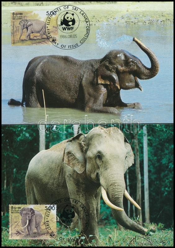 WWF: Elephants set on 4 CM, WWF: Elefántok sor 4 db CM-en