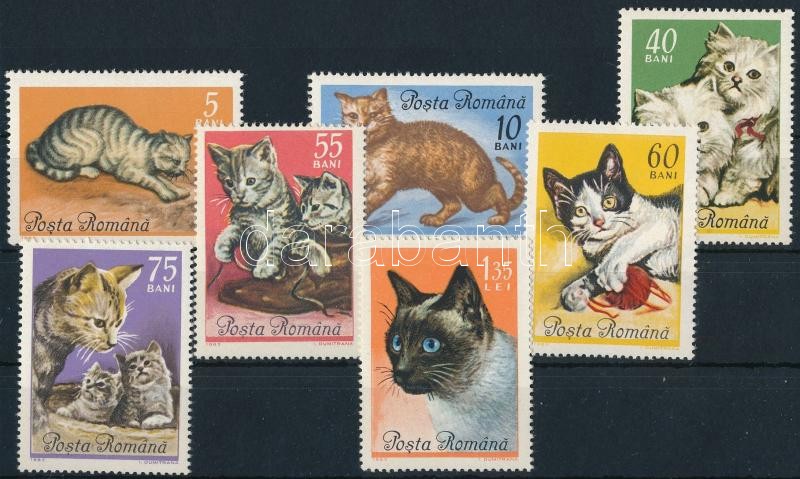 Macskák sor, Cats set