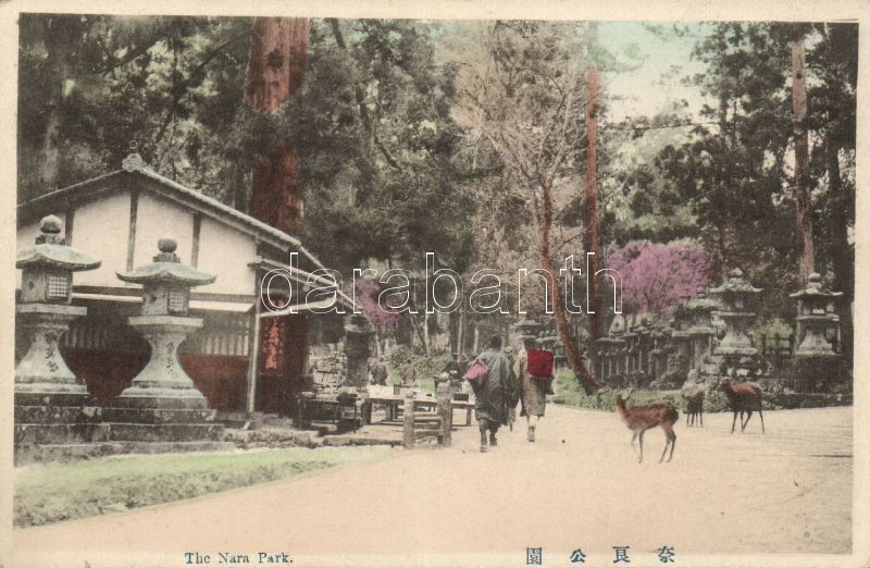 Nara, park