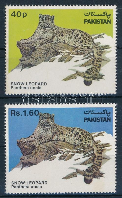 Állat, leopárd sor, Animal, leopard set