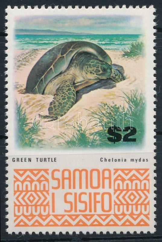 Állatok, teknős, Animals, turtle