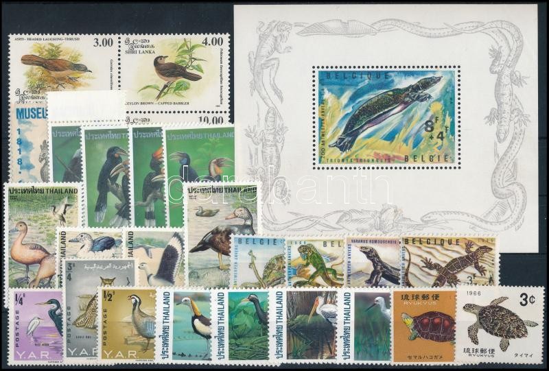 1965-1997 Bird and reptile 26 stamps + 1 block, 1965-1997 Madár és hüllő motívum 26 db klf bélyeg, közte teljes sorok és összefüggések + 1 db blokk