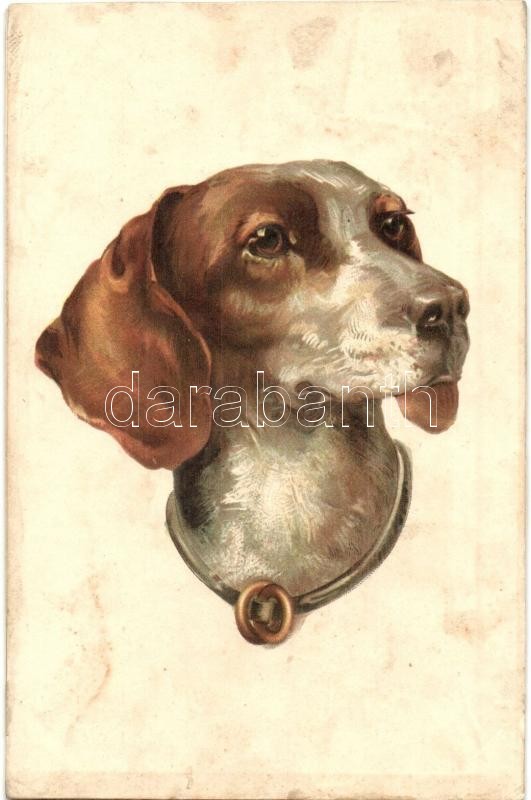 Dog, litho, Kutya, litho