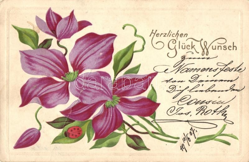 Herzlichen Glückwunsch / Flower greeting art postcard, litho, Virágos üdvözlőlap, litho