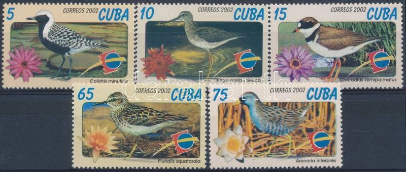International stamp exhibition ESPANA: Salamanca - Birds set, Nemzetközi bélyegkiállítás ESPANA; Salamanca - Madarak sor