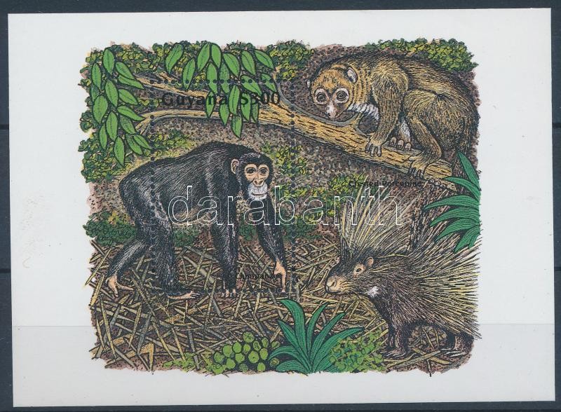 Afrikai állatok, csimpánz blokk, African animals, chimpanzee block
