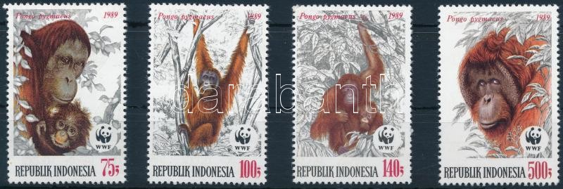 WWF Orangutan set, WWF: Orangután sor