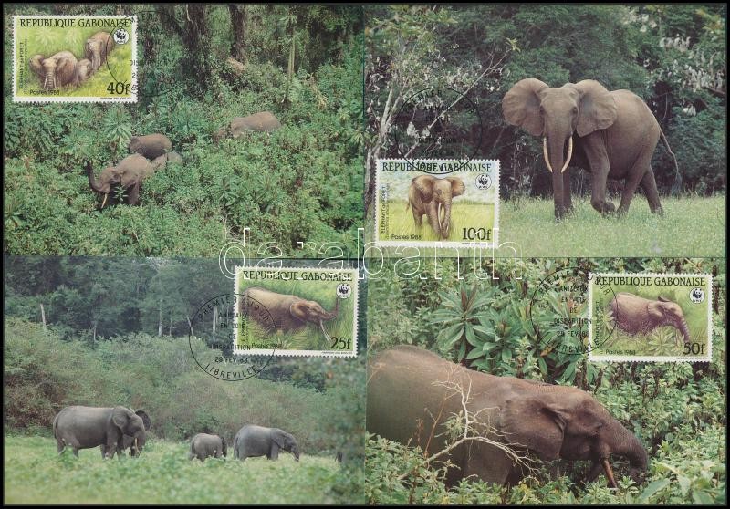 WWF: Erdei elefánt sor 4 db CM - en, WWF Forest elephant set 4 CM