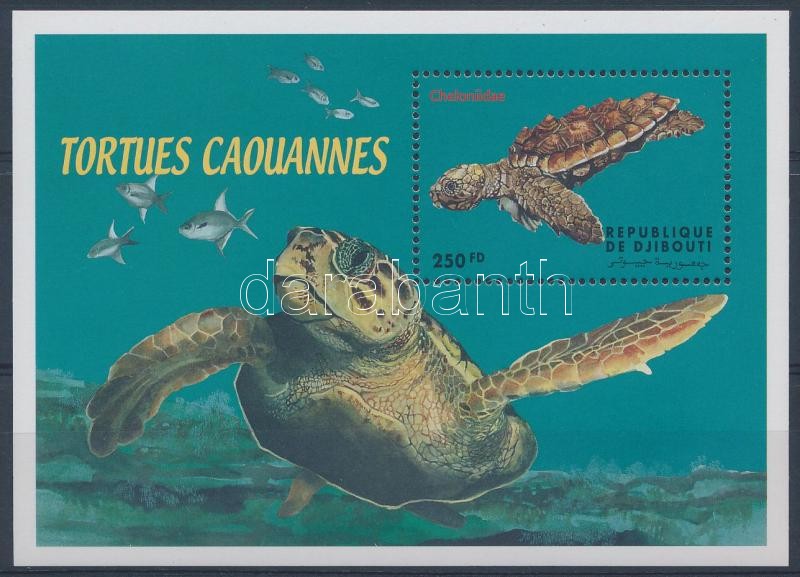 Teknős blokk, Turtle set