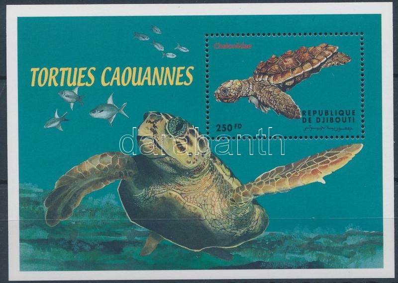 Teknős blokk, Turtles block