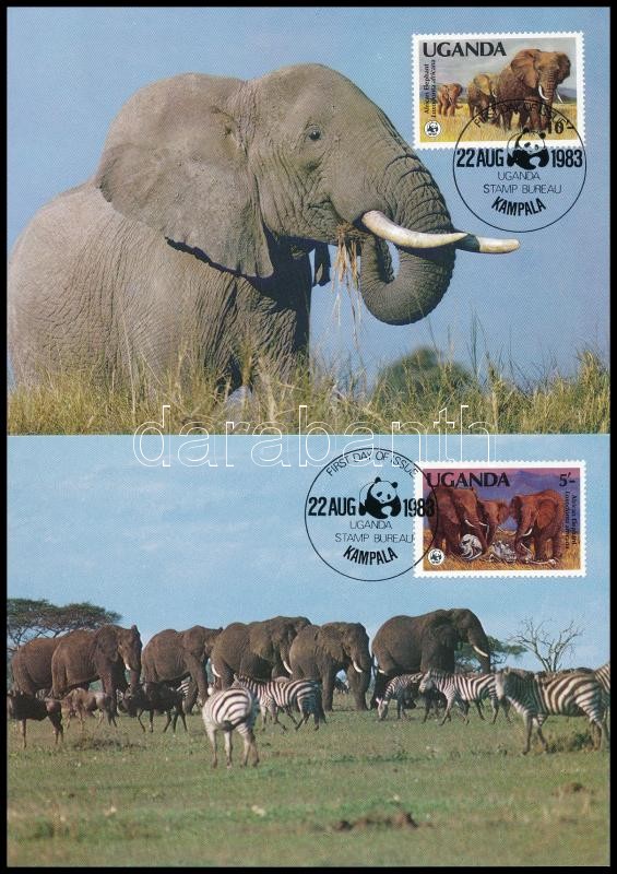 WWF: Afrikai elefánt sor  4 CM - en, WWF African elephant set 4 CM