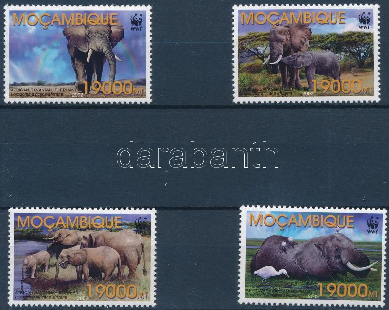 WWF: Afrikai elefánt sor, WWF African elephant set
