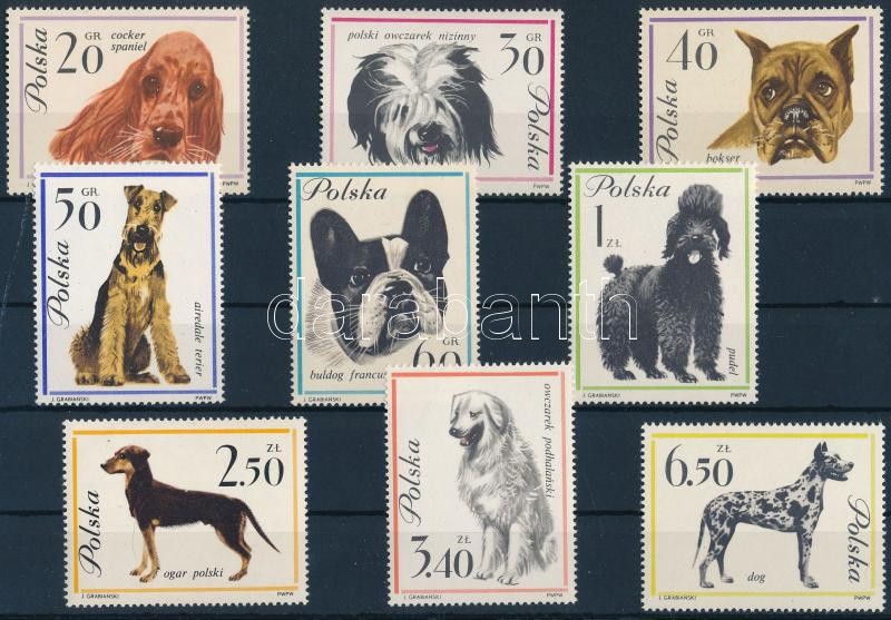 Kutyák sor, Dogs set