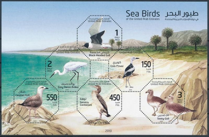 Sea birds block, Tengeri madarak blokk