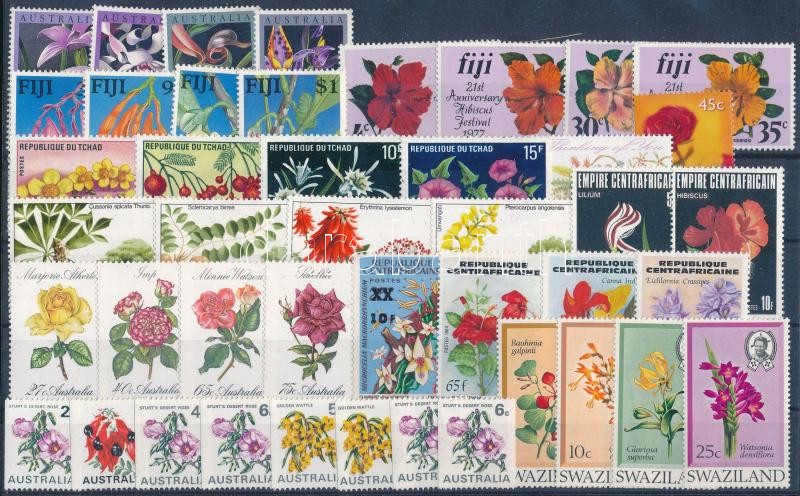1967-1999 Flower 62 stamps + blocks, 1967-1999 Virág motívum 62 klf bélyeg + 2 klf blokk (2 stecklapon)