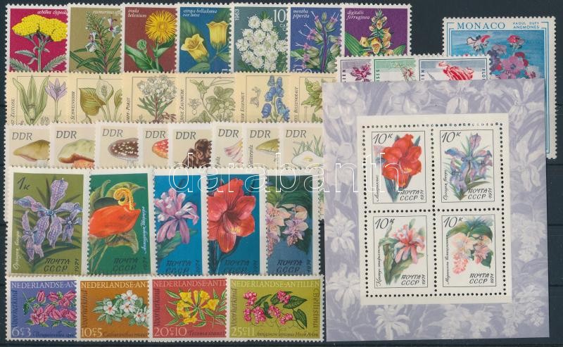 1960-1982 Flowers, Mushrooms 34 stamps + 1 block, 1960-1982 Virágok, gombák 34 db bélyeg, közte teljes sorok + 1 db blokk stecklapon
