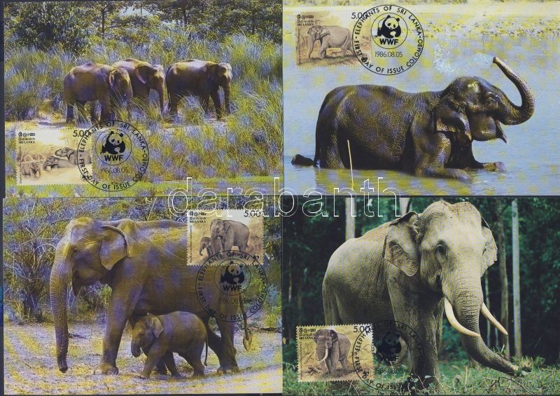 WWF Elefántok sor 4 CM, WWF Elephants set 4 CM, WWF Elefant Satz 4 CM