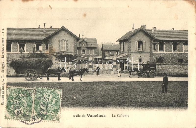 Asile de Vaucluse, La colonie / colony, TCV card