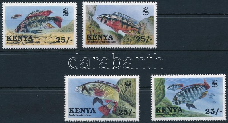 Fish from Lake Victoria set, A Victoria-tó ritka ciklidái (bölcsőszájúhal-félék) sor