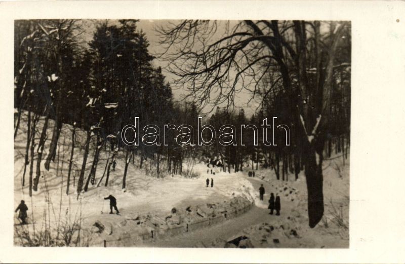 Lviv, Lwów, Lemberg; Striysky Park, winter, skiers