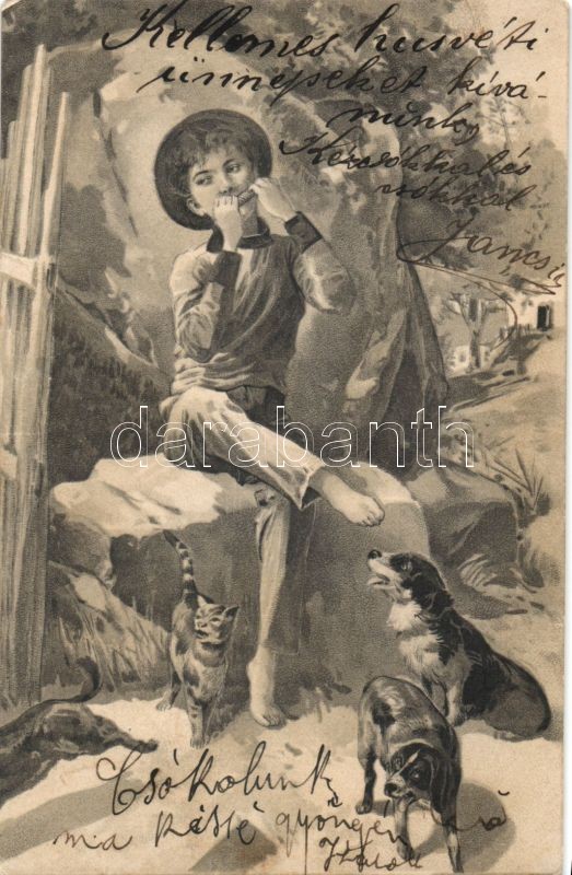 Boy with harmonica, dogs, cats, litho, Szájharmonikázó fiú, kutya, macska, litho