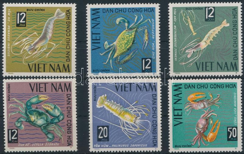 Tengeri állatok sor, Sea animals set