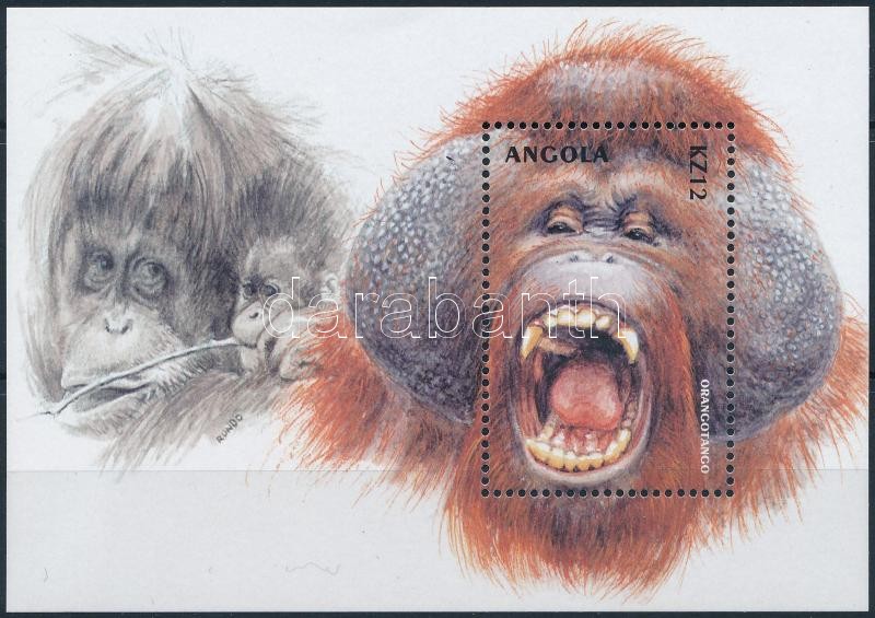 Orangutan block, Orángután blokk