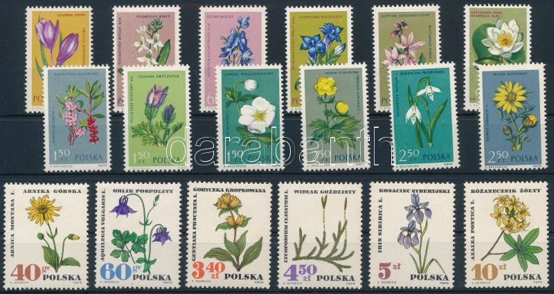 1962 + 1967 2 klf Virág sor, 1962 + 1967 2 Flower set