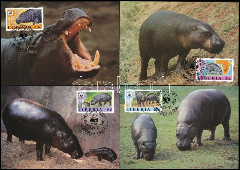 WWF: Törpe víziló sor 4 db CM-en, WWF: Pygmy hippopotamus set on 4 CM