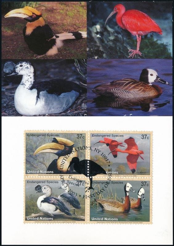 WWF: Veszélyeztetett fajok, madarak sor négyestömb CM, WWF: Endangered species, birds set blocks of 4 CM