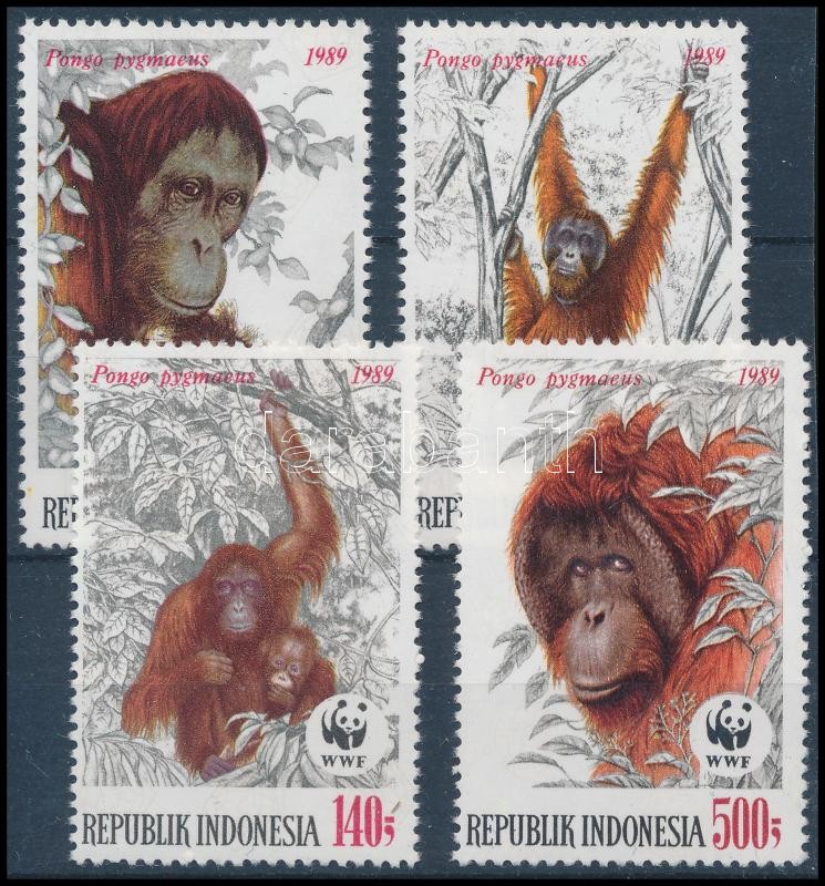 WWF: Orangutan set, WWF: Orángután sor