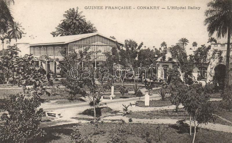 Conakry, L'Hopital Ballay / hospital, garden