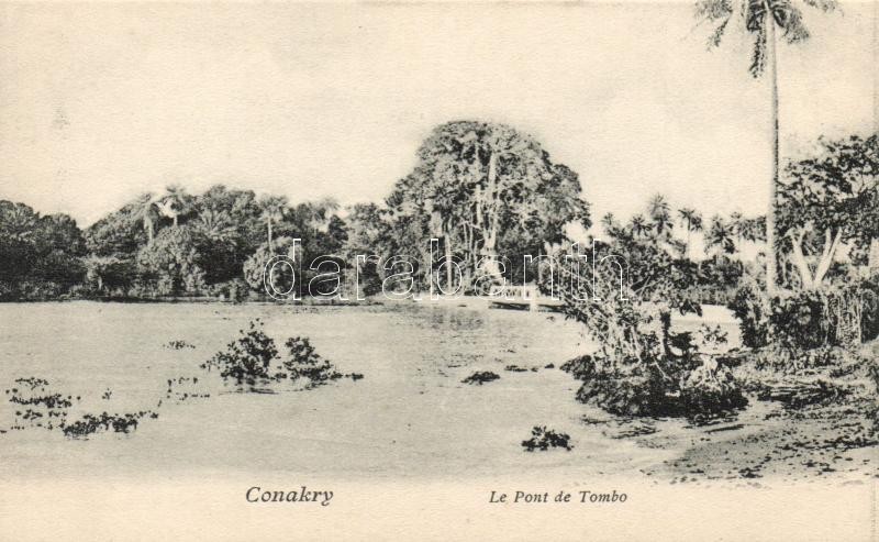 Conakry, Le Pont de Tombo / bridge