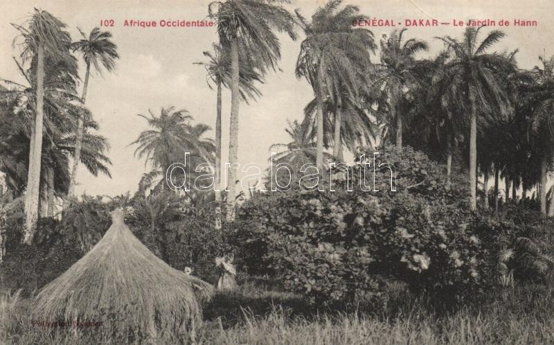 Dakar, Le Jardin de Hann / park