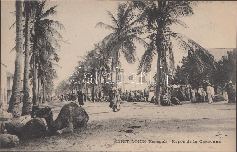 Saint-Louis, Repos de la Caravane / caravan, camel