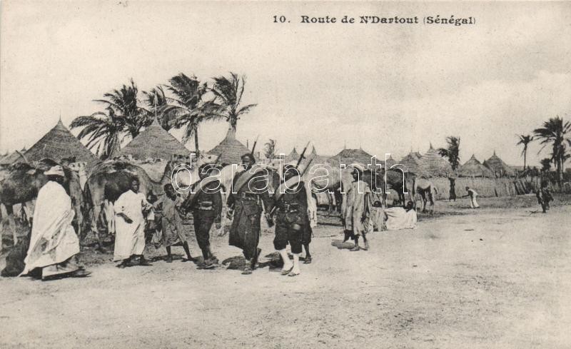 Saint-Louis, Guet N'Dar, Route de N'Dartout / road, soldiers, camels, folklore