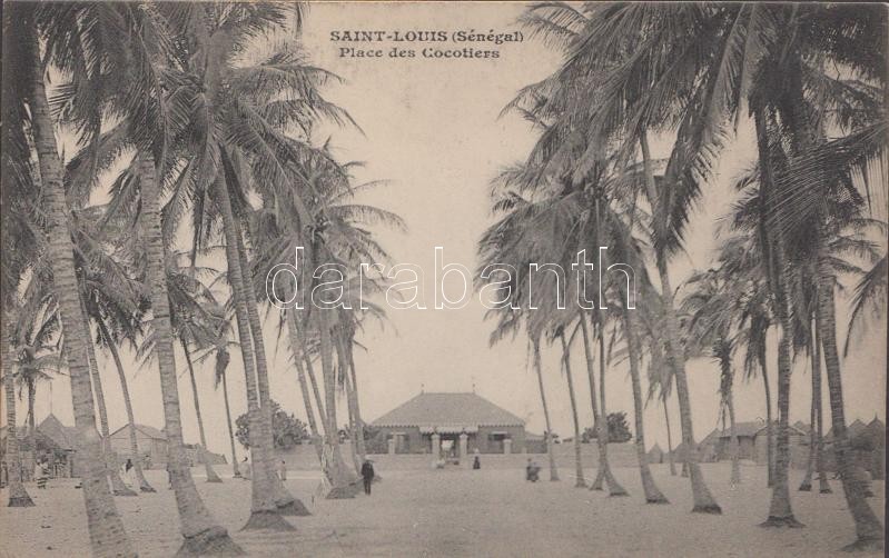 Saint-Louis, Place des Cocotiers / square, coconut trees