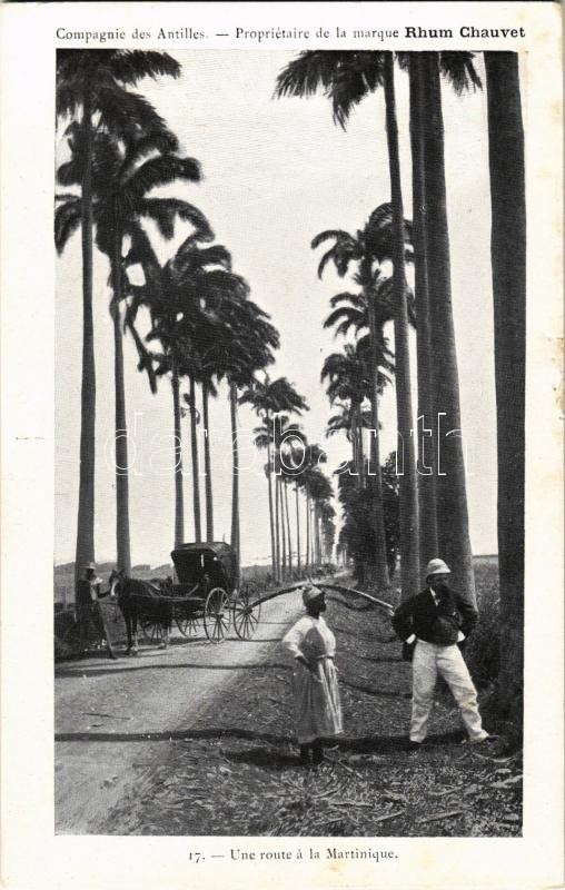 Une route a la Martinique / road, horse-drawn carriage