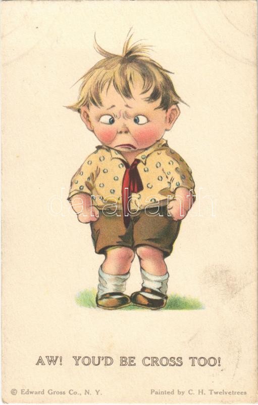 'Aw! You'd be cross too!', child, humour, Edward Gross Co. Twelvetrees No. 15. litho, Humoros gyermek művészlap. Edward Gross Co. Twelvetrees No. 15. litho