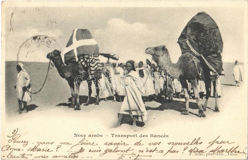 1902 Noce arabe, Transport des fiancés / Arab wedding, transport of the bride and groom, camels, Tunisian folklore, 1902 Arab esküvő, a menyasszony és vőlegény szállítása tevéken, tunéziai folklór