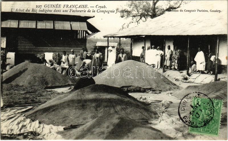 Coyah, L'Achat du Riz indigéne dans une Factorerie de la Compagnie francaise / rice market