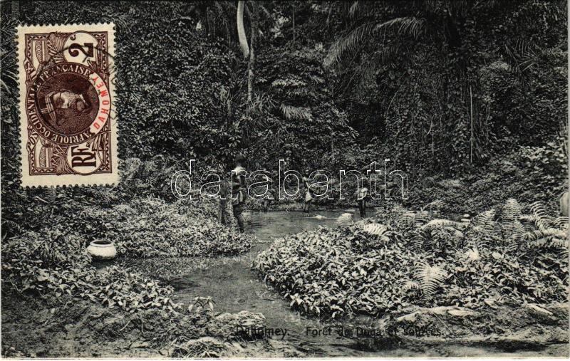 Dahomey, Foret de Doga et sources / forest, source