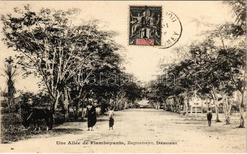 Zagnanavo, Une Allée de Flamboyants / street view, horse