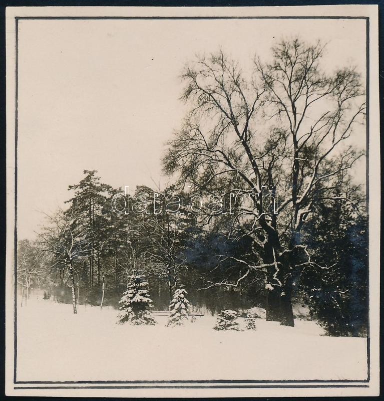 1929 Kinszki Imre (1901-1945) budapesti fotóművész hagyatékából, a szerző által feliratozott vintage fotó (Városliget, ez a szerző 79. számú felvétele), 6x6 cm