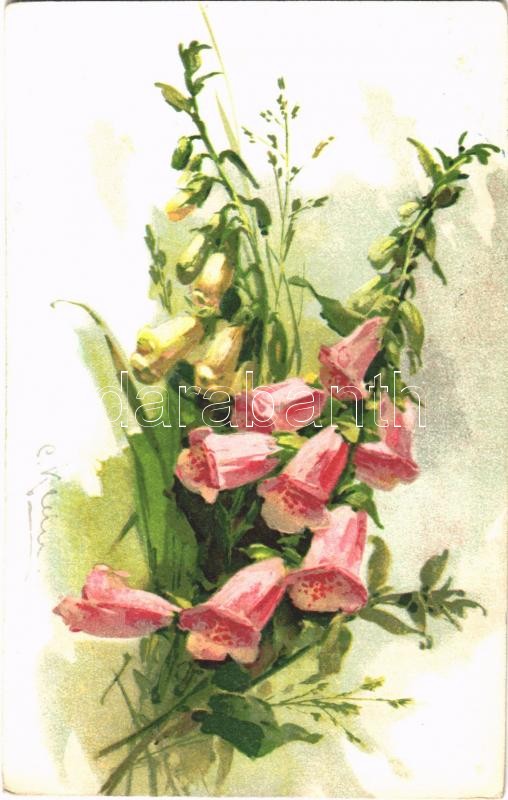 Flowers, still life. G.O.M. 1675. litho s: C. Klein, Virágos csendélet. G.O.M. 1675. litho s: C. Klein